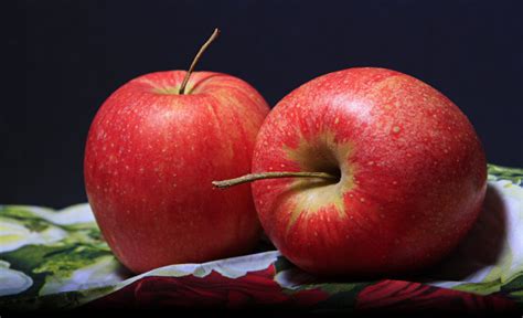 תפוח פרי